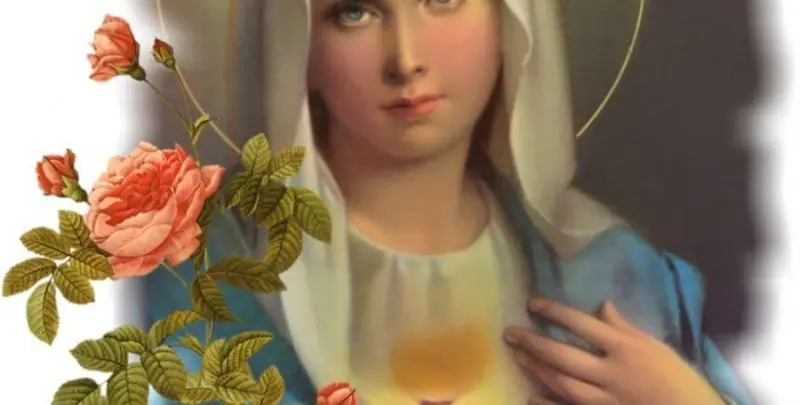 Cuore immacolato di Maria