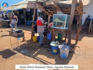 Radio Maria Tanzania