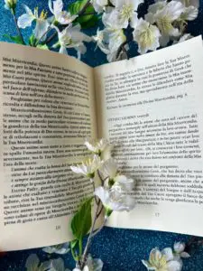 Opuscoli gesù confido in te 