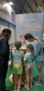 Meeting di Rimini 2024