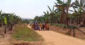 radio maria uganda 