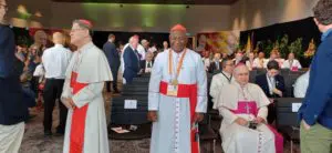 Radio Maria Papua Nuova Guinea - arrivo del Papa