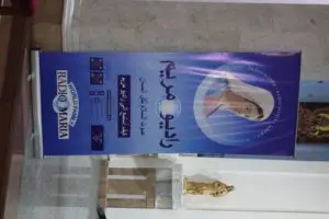 Inaugurazione dello studio mobile di Radio Mariam ad Homs (la più grande diocesi della Siria)