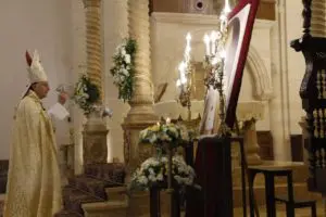 Aleppo Damasco