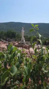 Novena Radio Maria 4 giorno