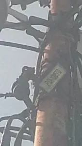 Radio Maria Venezuela