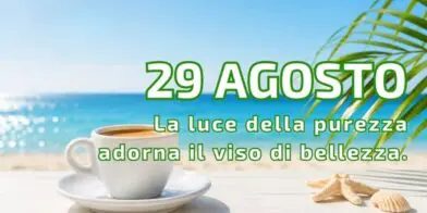 29.08 IL CAFFEINO QUOTIDIANO DI P. LIVIO