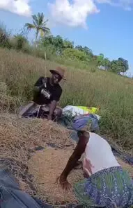 RADIO MARIA AFRICA: REPUBBLICA DEMOCRATICA DEL CONGO (Bukavu) - KENYA