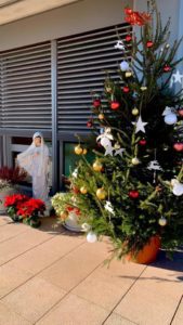 Regina della Pace e Albero