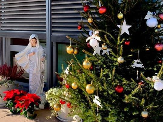 Regina della Pace e Albero