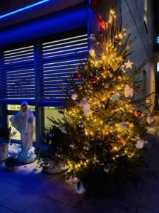 Regina della Pace e Albero1