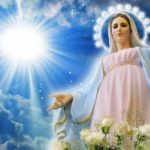 L’Immacolata, riflesso ineffabile della bellezza della Santissima Trinità