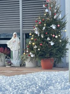 Regina della Pace e albero di Natale di Radio Maria
