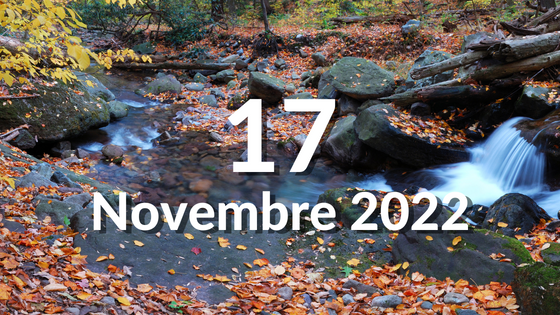 17.11_pensiero del giorno