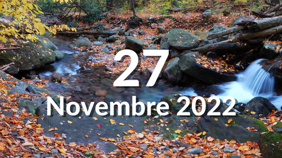 27.11_PENSIERO DEL GIORNO