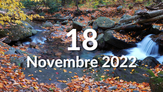18.11_pensiero del giorno