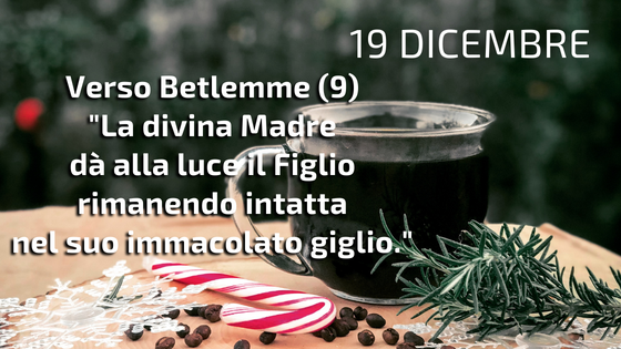 19_12 il caffeino quotidiano di P. Livio