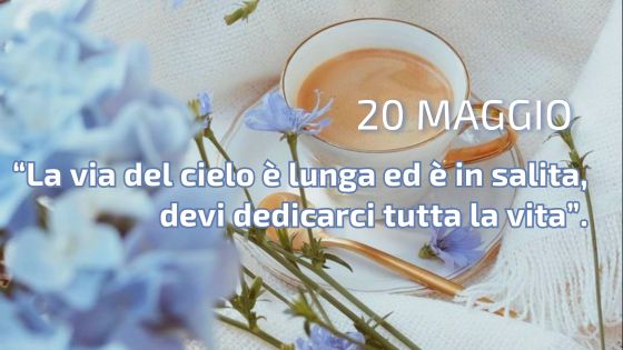 20-05 il caffeino quotidiano di p. livio