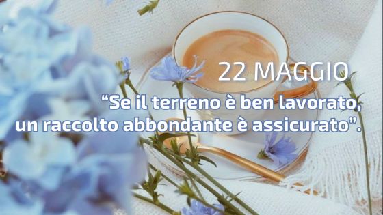 22-05 il caffeino quotidiano di p. livio