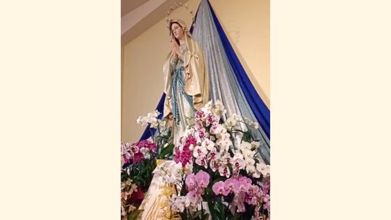 LIVE MEDJUGORJE