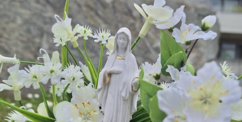 nuova creazione missionarie