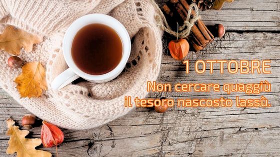 1-10 il caffeino quotidiano di p. livio