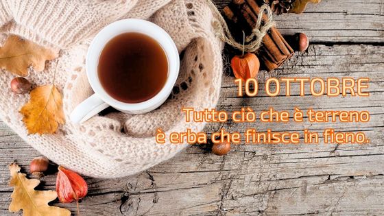 10-10 il caffeino quotidiano di p. livio