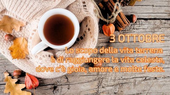 3-10 il caffeino quotidiano di p. livio