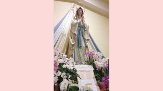 LIVE MEDJUGORJE