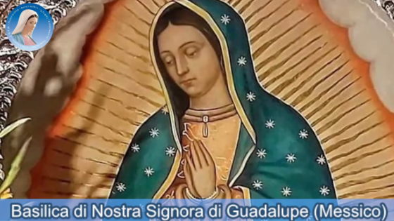 Nostra Signora di Guadalupe (Messico)