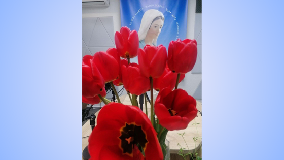 Radio Maria Medjugorje