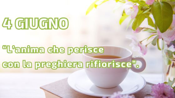 4_06 il caffeino quotidiano di P. Livio