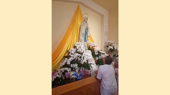 LIVE DA MEDJUGORJE