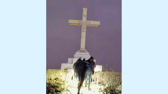 Da Medjugorje