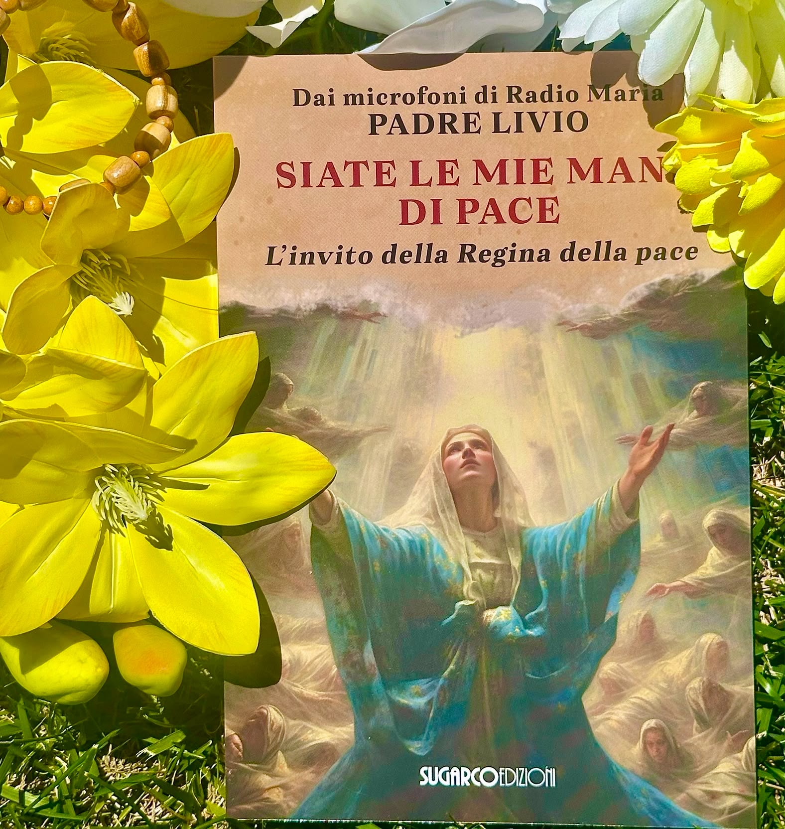 Siate le mie mani di Pace