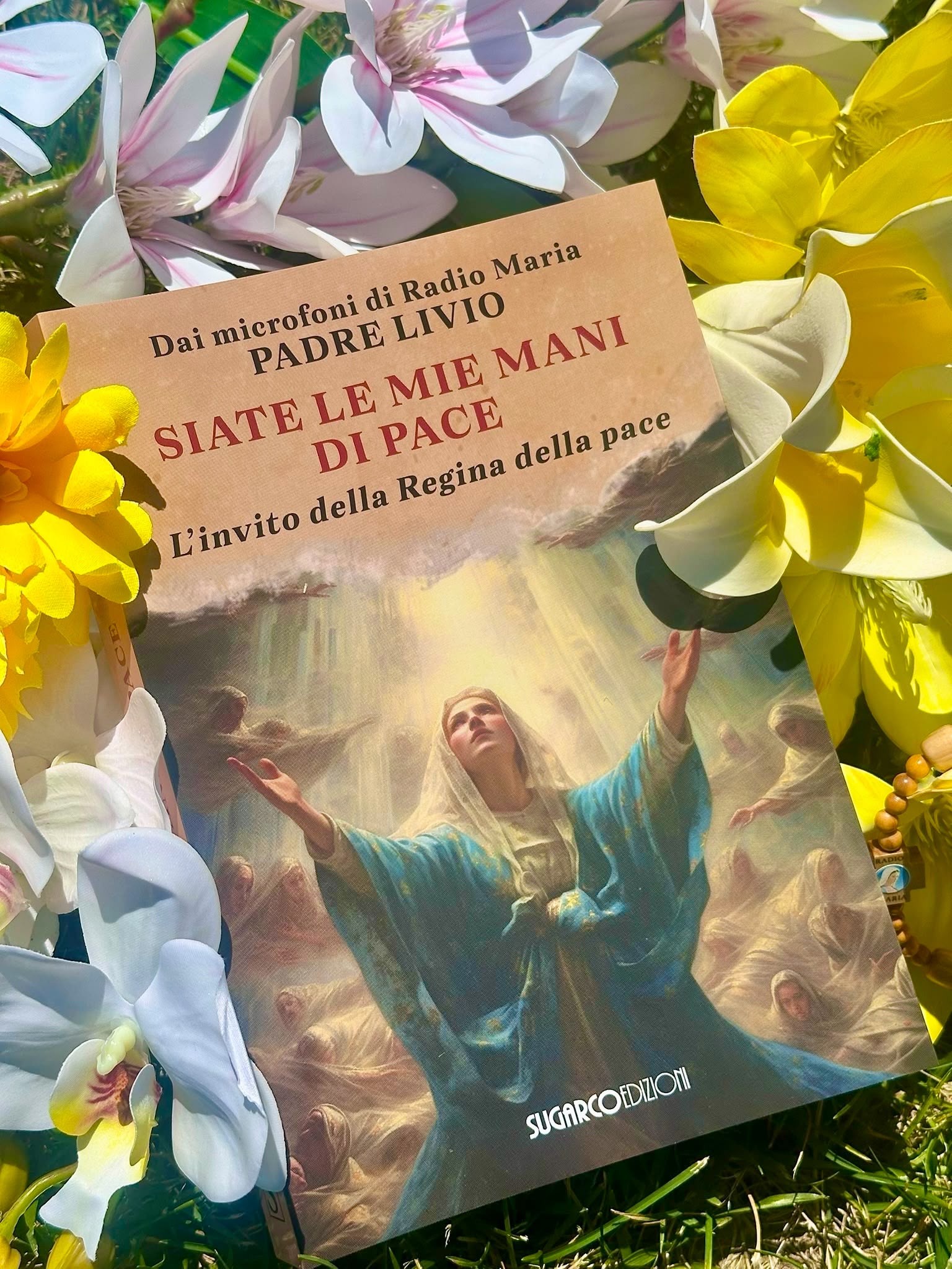 Siate le mie mani di Pace