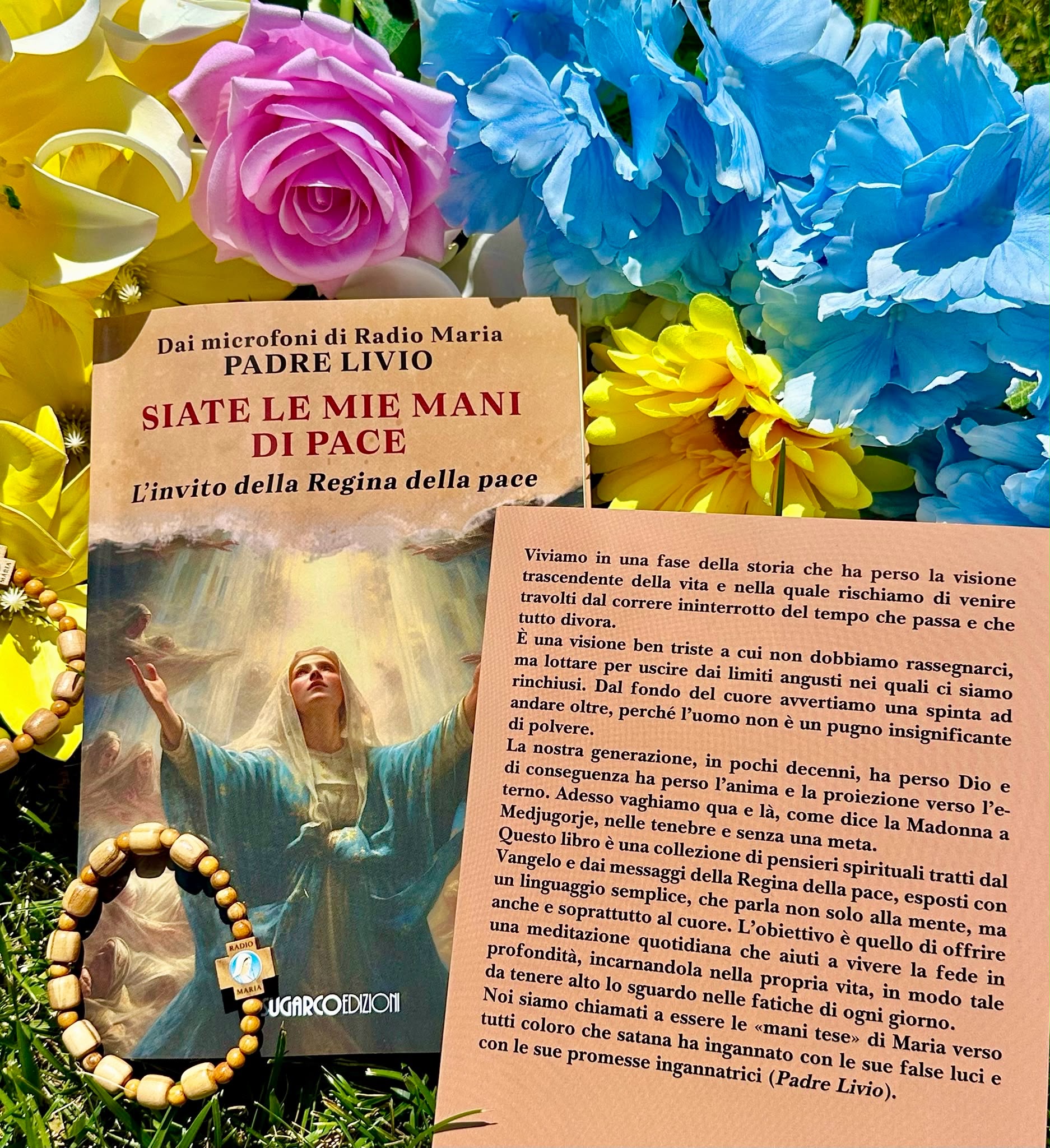 Siate le mie mani di Pace