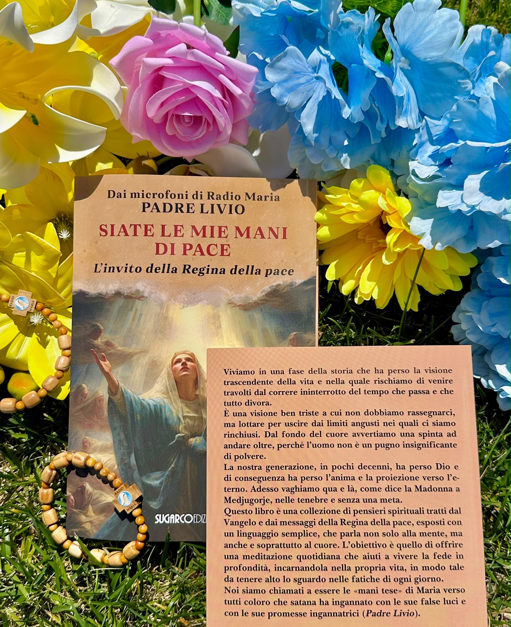 Siate le mie mani di Pace