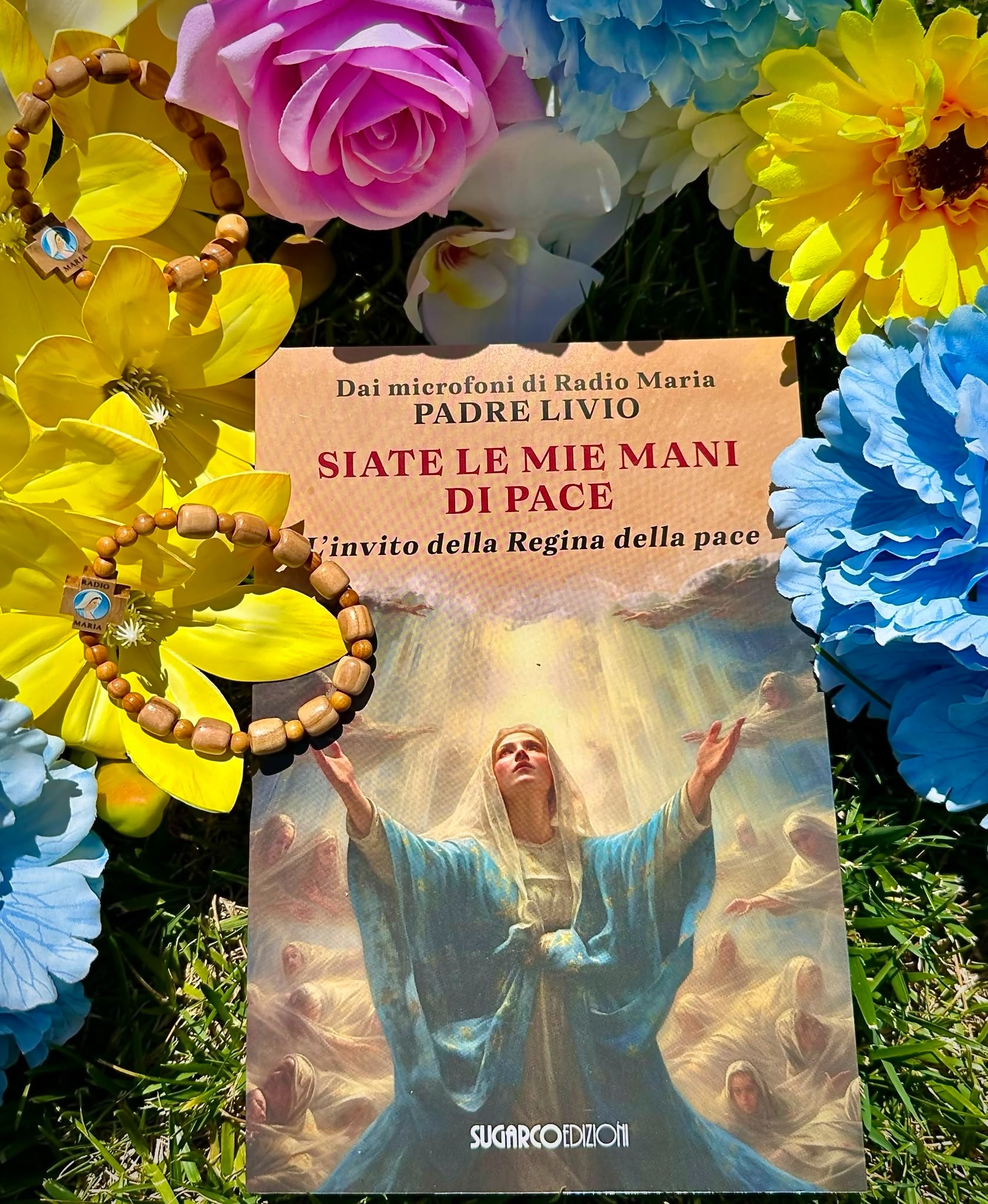 Siate le mie mani di Pace