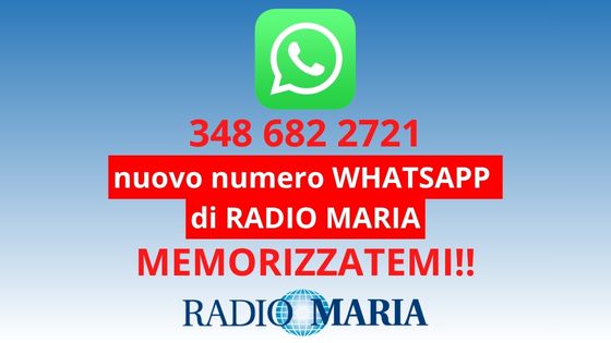 NUOVO NUMERO WHATSAPP